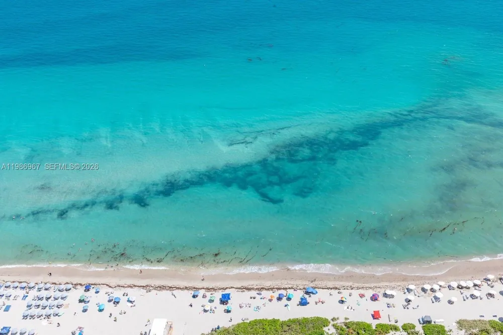 1800 S Ocean Dr #UPH4301 Hallandale Beach, FL 33009