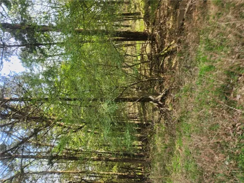 Lakeview