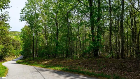 0 Packs Mountain Ridge Road