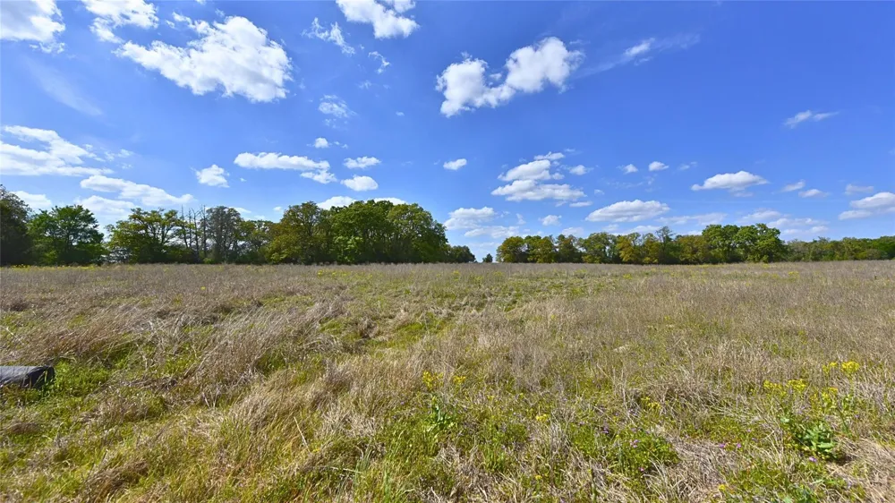 29 Legacy Rd - 10 Acres Caldwell, TX 77879