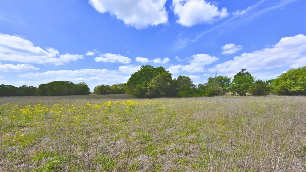 29 Legacy Rd - 10 Acres Caldwell, TX 77879