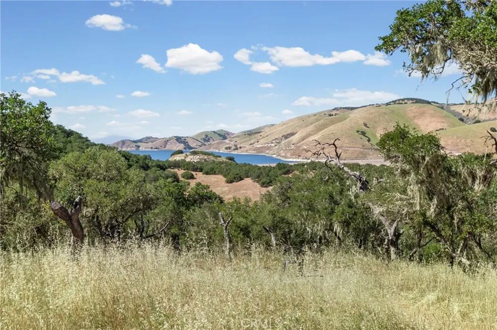 61446 Vista Bradley, CA 93426