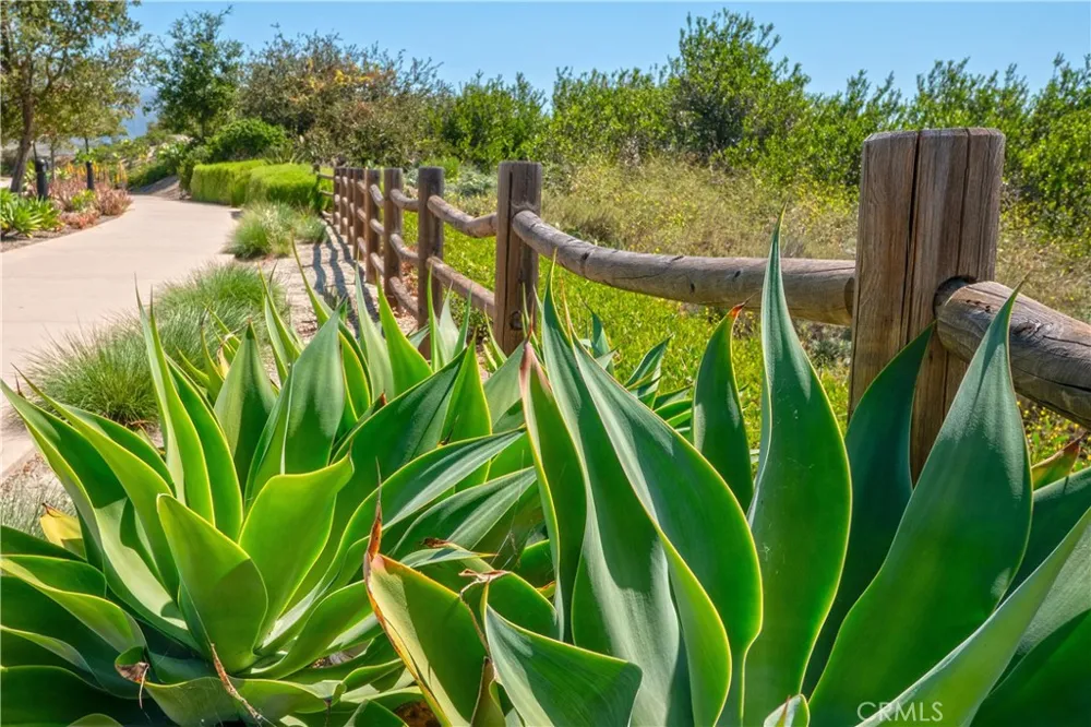 609 Shadowbrook Lake Forest, CA 92610