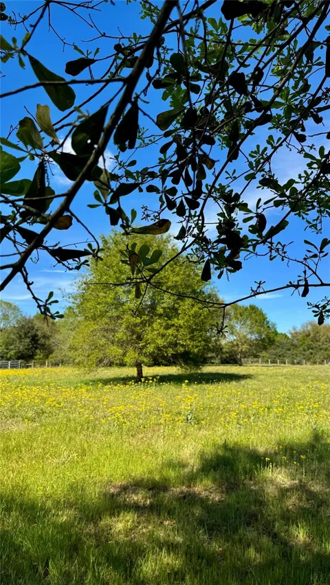 Meadow Creek Road