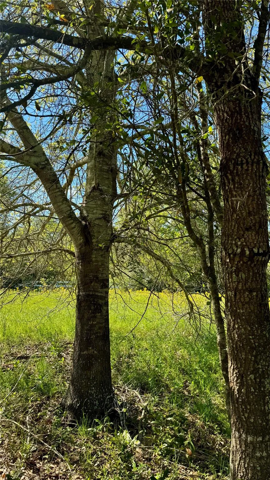 Meadow Creek Road Hockley, TX 77447