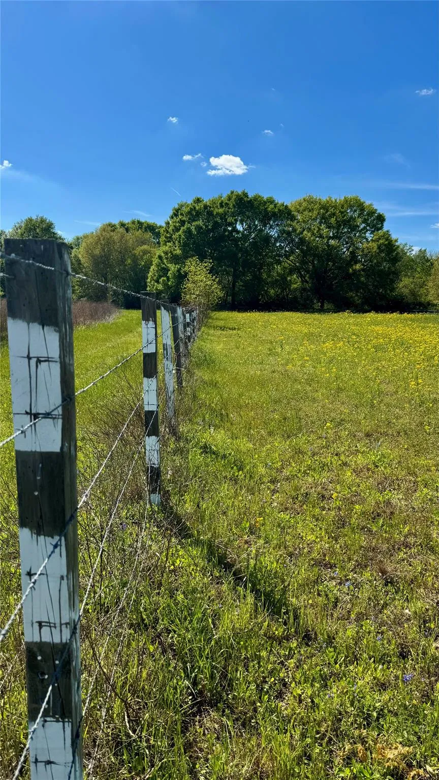Meadow Creek Road Hockley, TX 77447