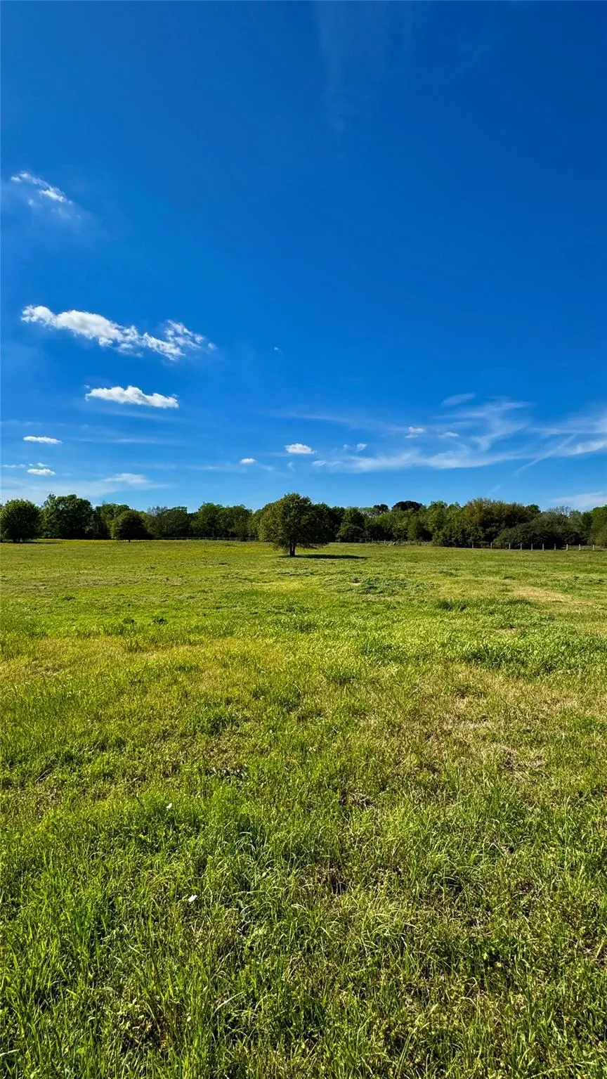 Meadow Creek Road Hockley, TX 77447