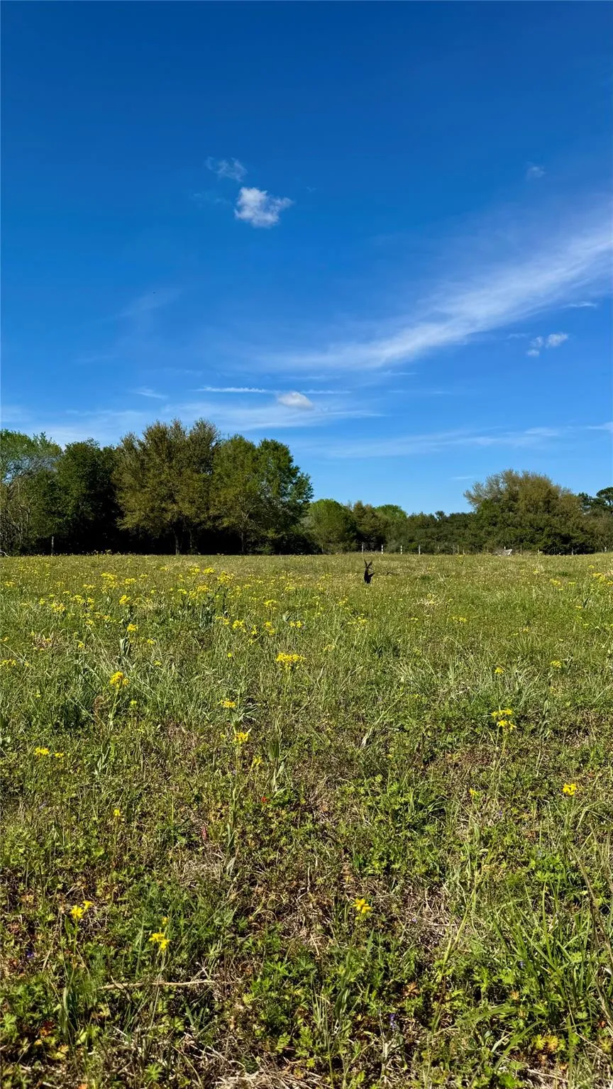 Meadow Creek Road Hockley, TX 77447