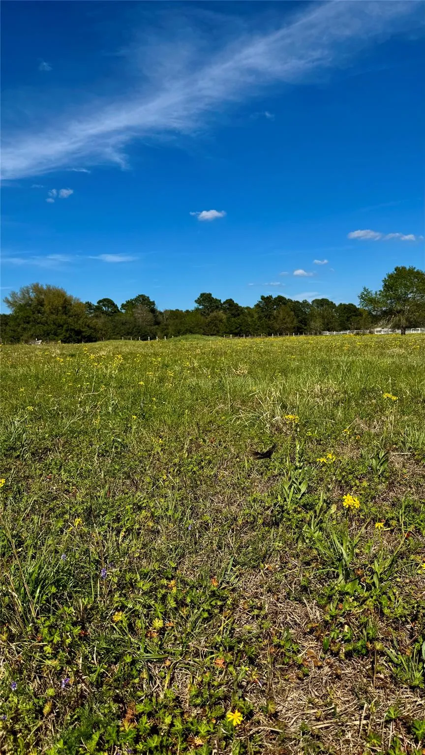 Meadow Creek Road Hockley, TX 77447