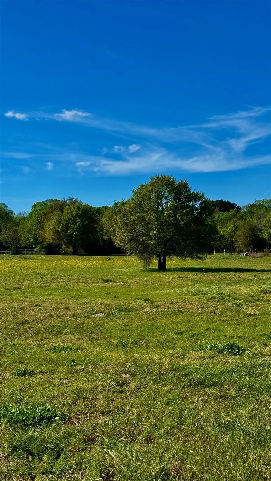 Meadow Creek Road Hockley, TX 77447