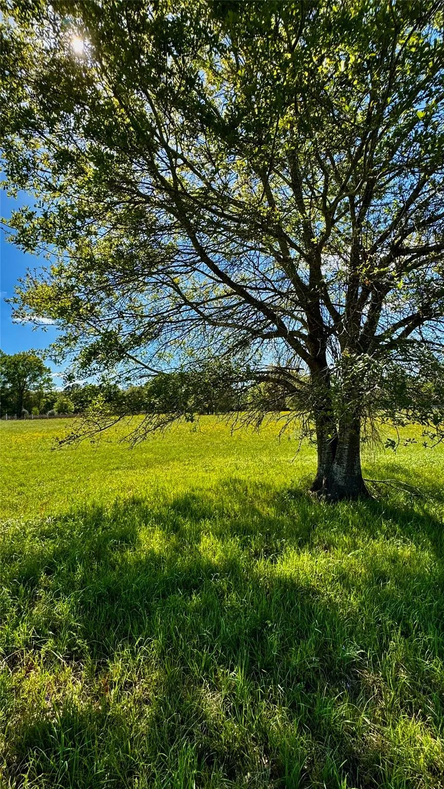 Meadow Creek Road Hockley, TX 77447