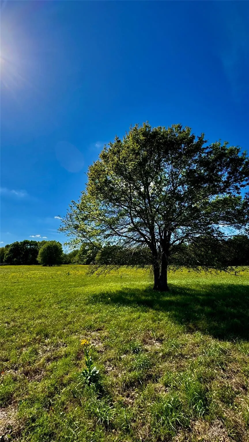 Meadow Creek Road Hockley, TX 77447