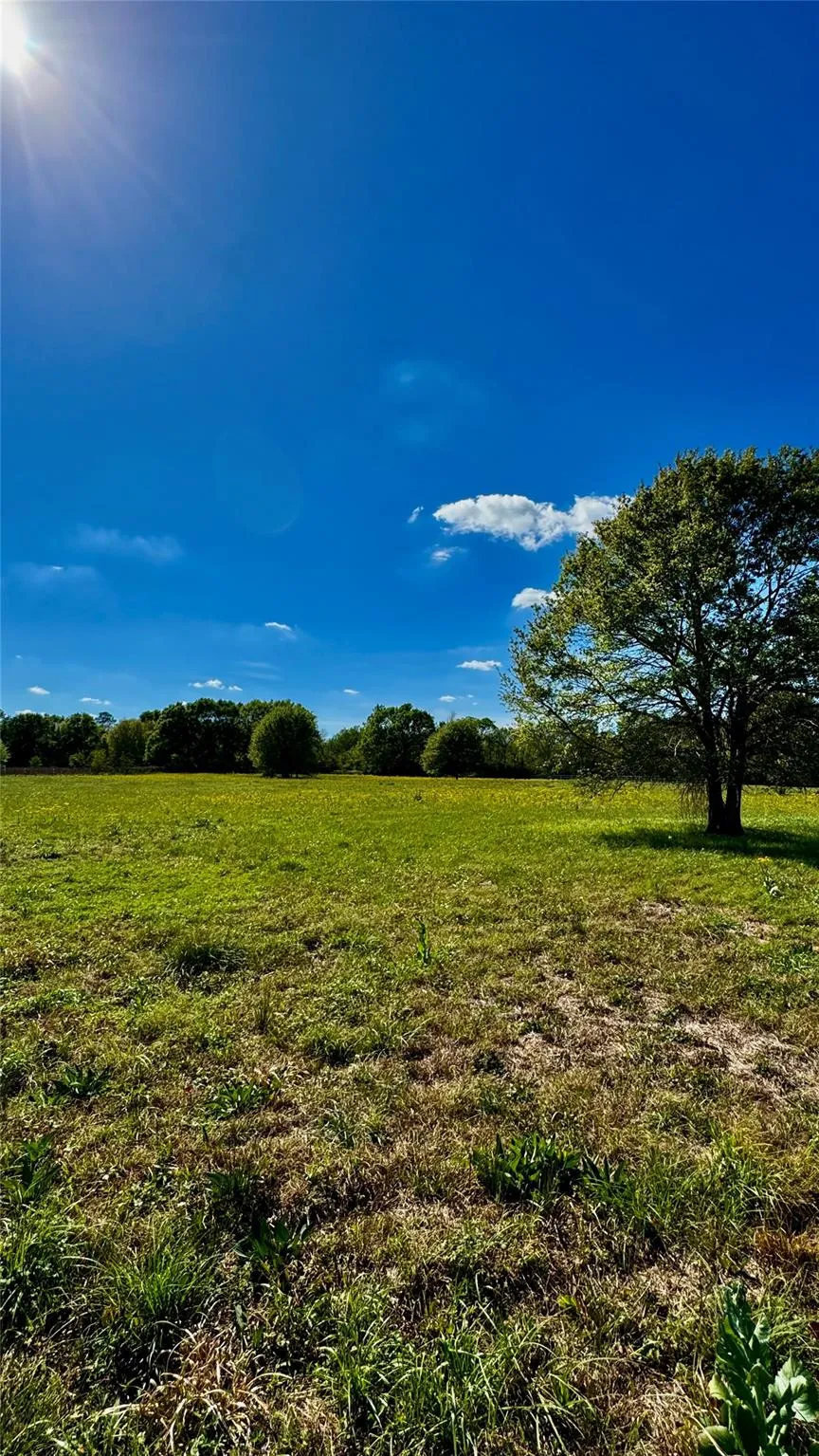 Meadow Creek Road Hockley, TX 77447