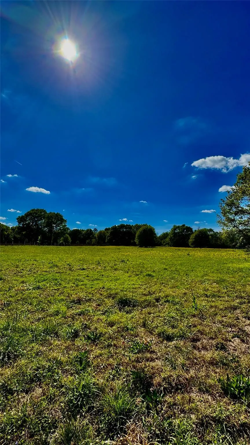 Meadow Creek Road Hockley, TX 77447