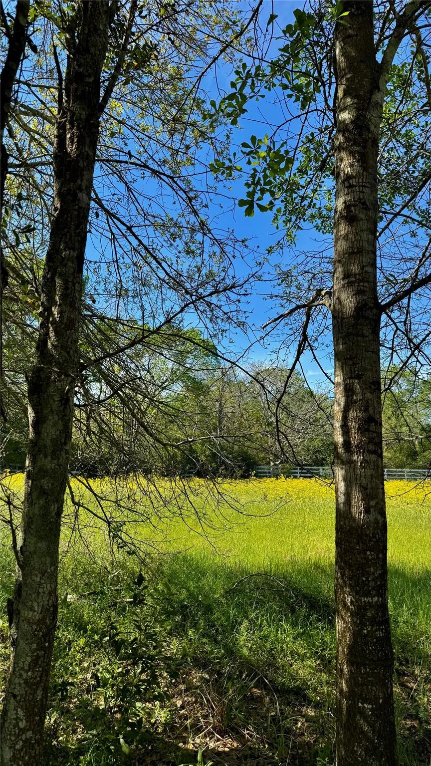 Meadow Creek Road Hockley, TX 77447