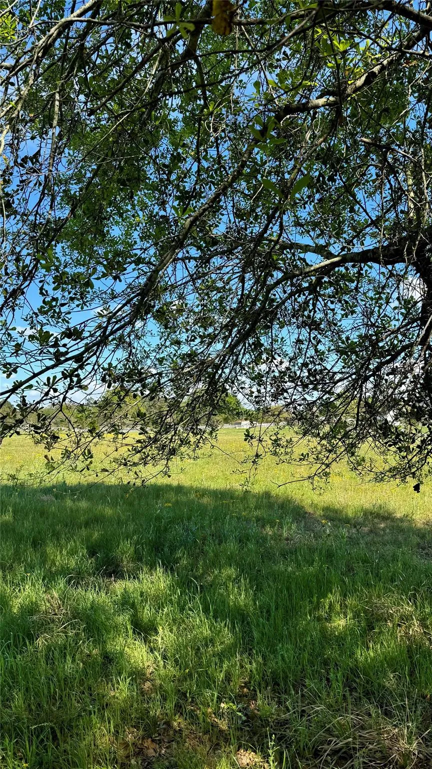 Meadow Creek Road Hockley, TX 77447