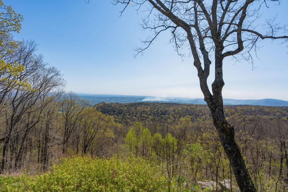 244 Halifax Farm Lane Rising Fawn, GA 30738
