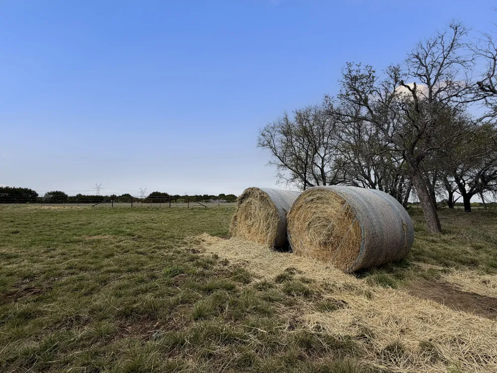 15040 County Road 2200 Lometa, TX 76853