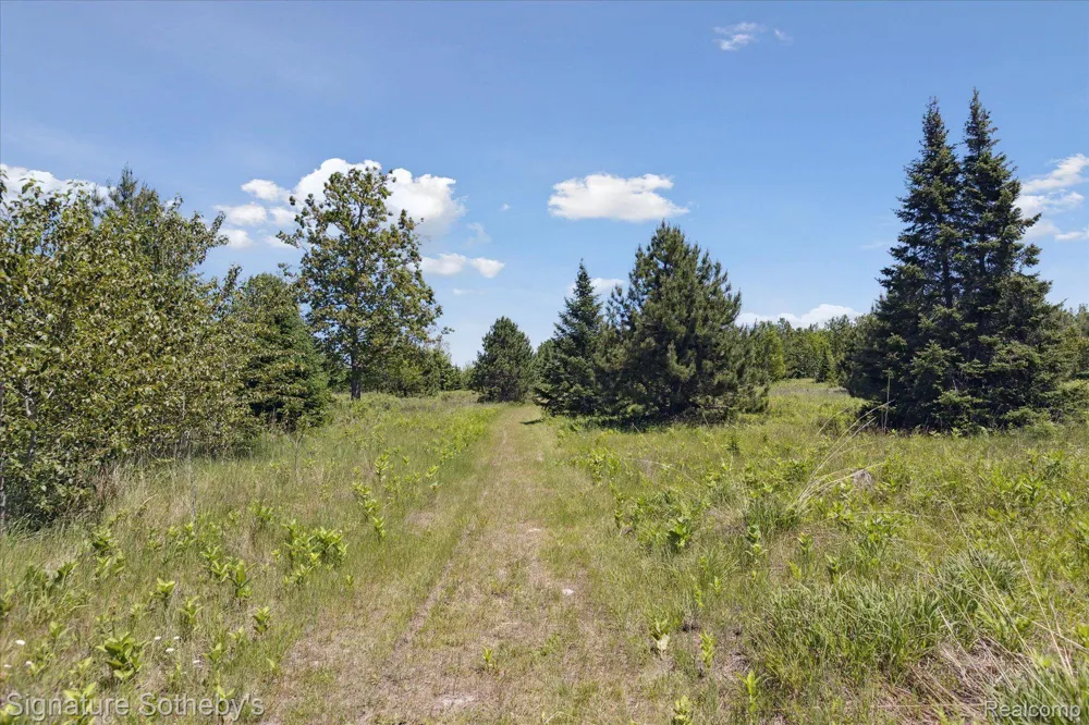 9842 Misery Bay Alpena City, MI 49707