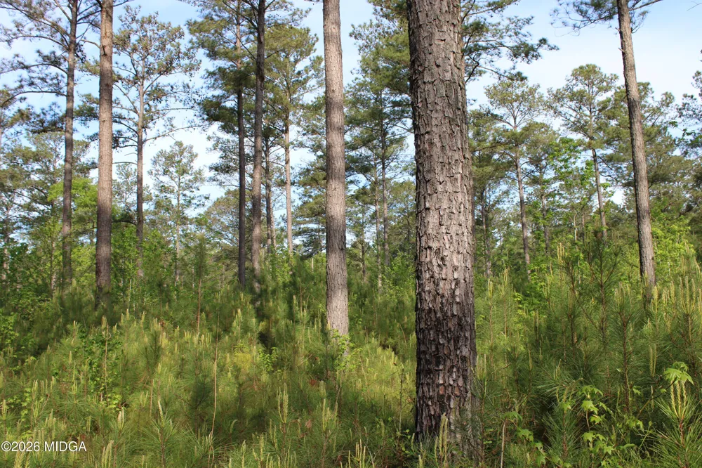 Ruffner Road #00 Barnesville, GA 30204