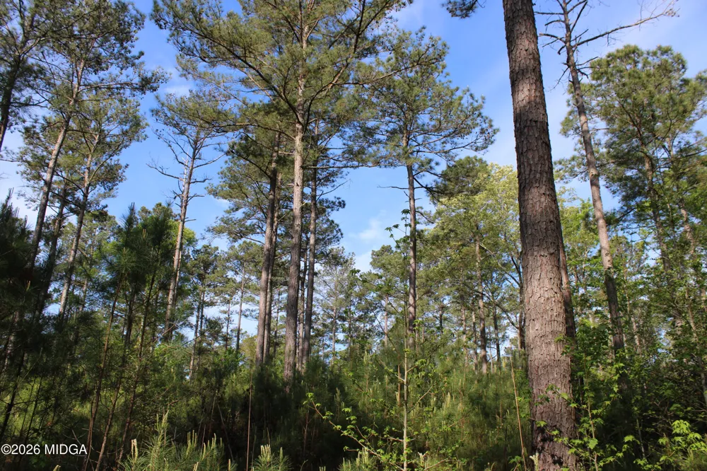 Ruffner Road #00 Barnesville, GA 30204