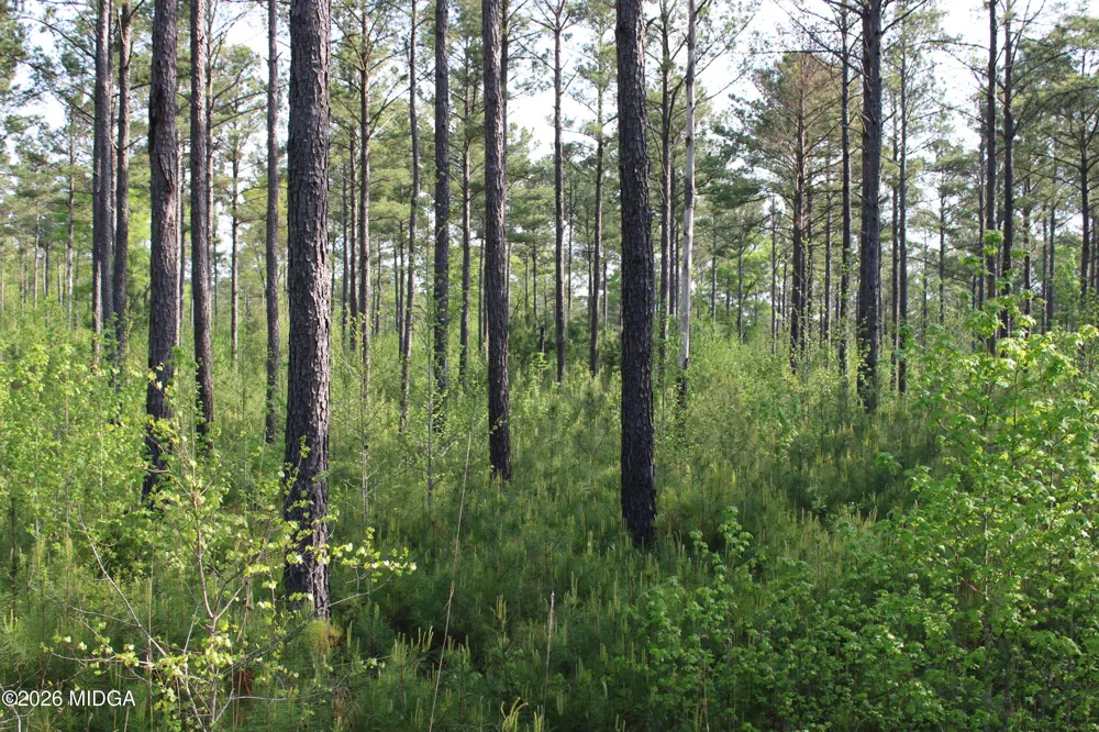 Ruffner Road #00 Barnesville, GA 30204