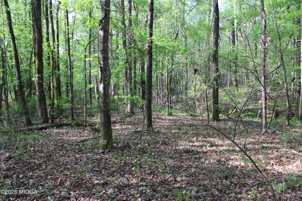 Ruffner Road #00 Barnesville, GA 30204