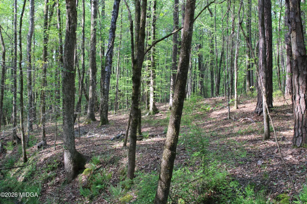 Ruffner Road #00 Barnesville, GA 30204