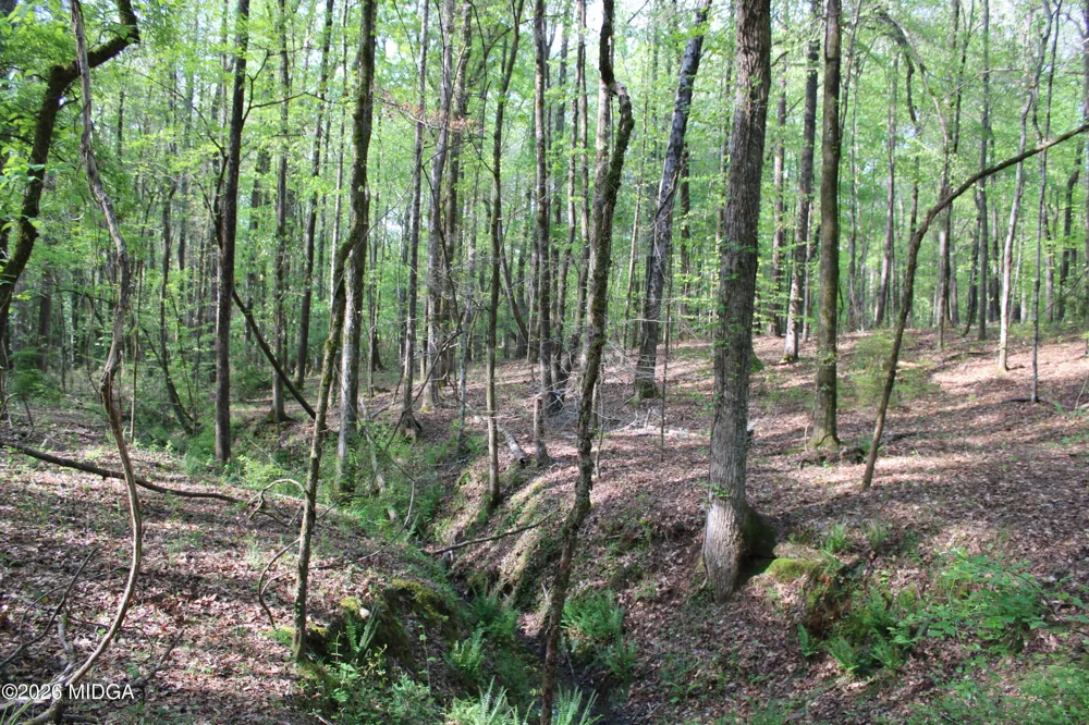 Ruffner Road #00 Barnesville, GA 30204