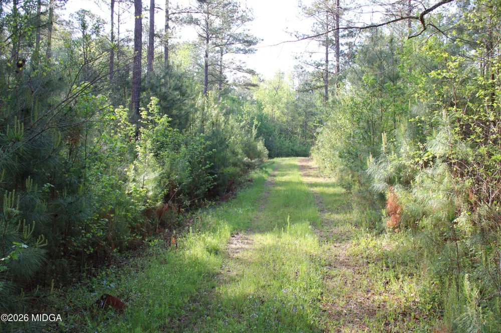 Ruffner Road #00 Barnesville, GA 30204