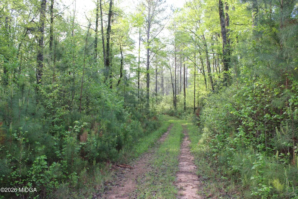 Ruffner Road #00 Barnesville, GA 30204