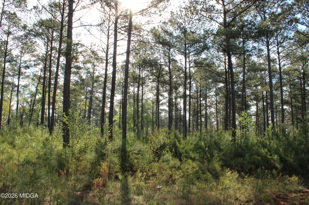 Ruffner Road #00 Barnesville, GA 30204