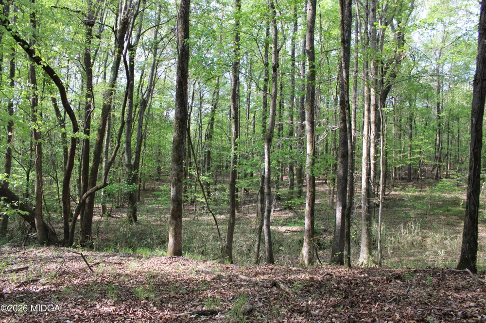 Ruffner Road #00 Barnesville, GA 30204