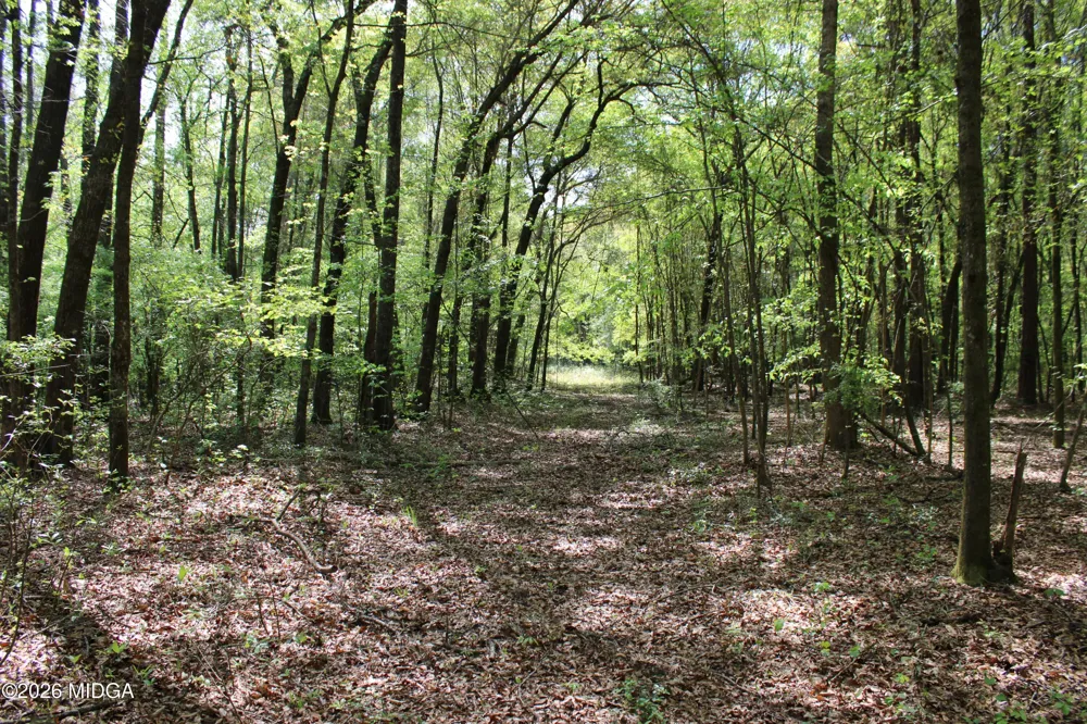Ruffner Road #00 Barnesville, GA 30204