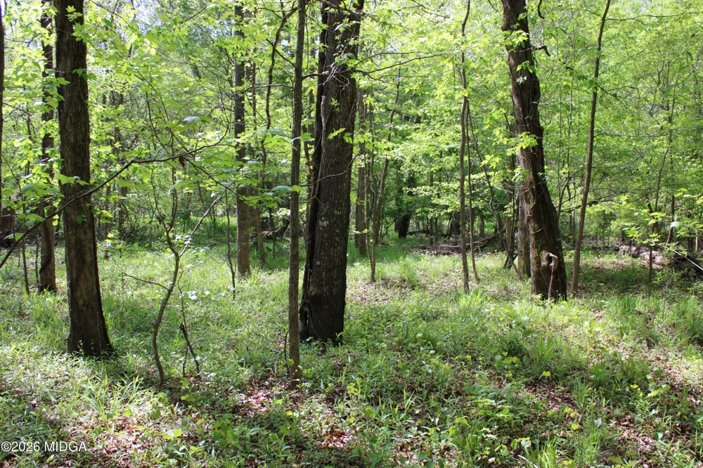 Ruffner Road #00 Barnesville, GA 30204