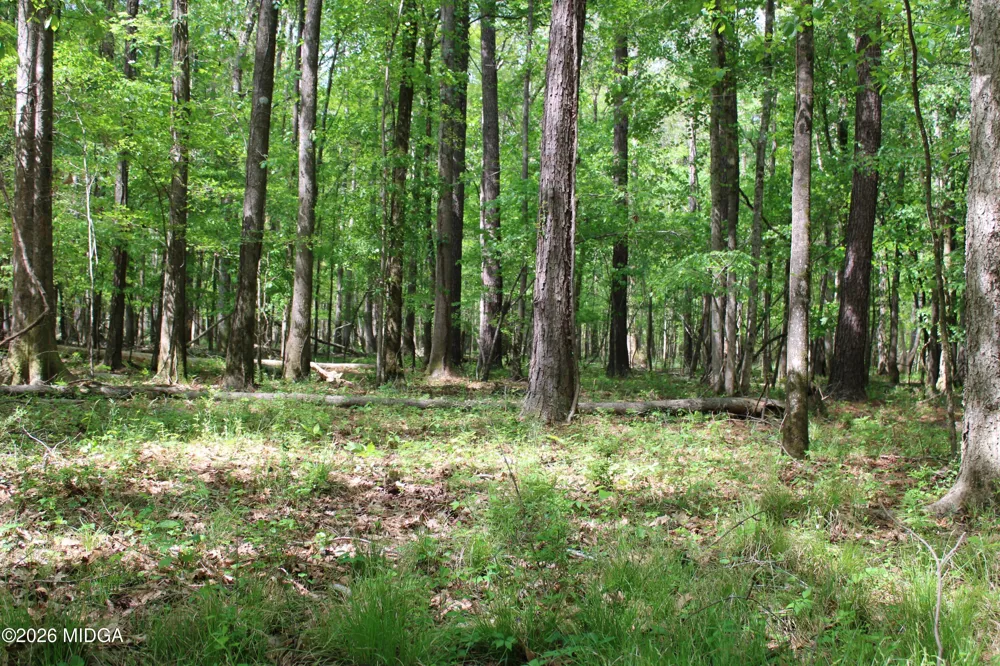 Ruffner Road #00 Barnesville, GA 30204