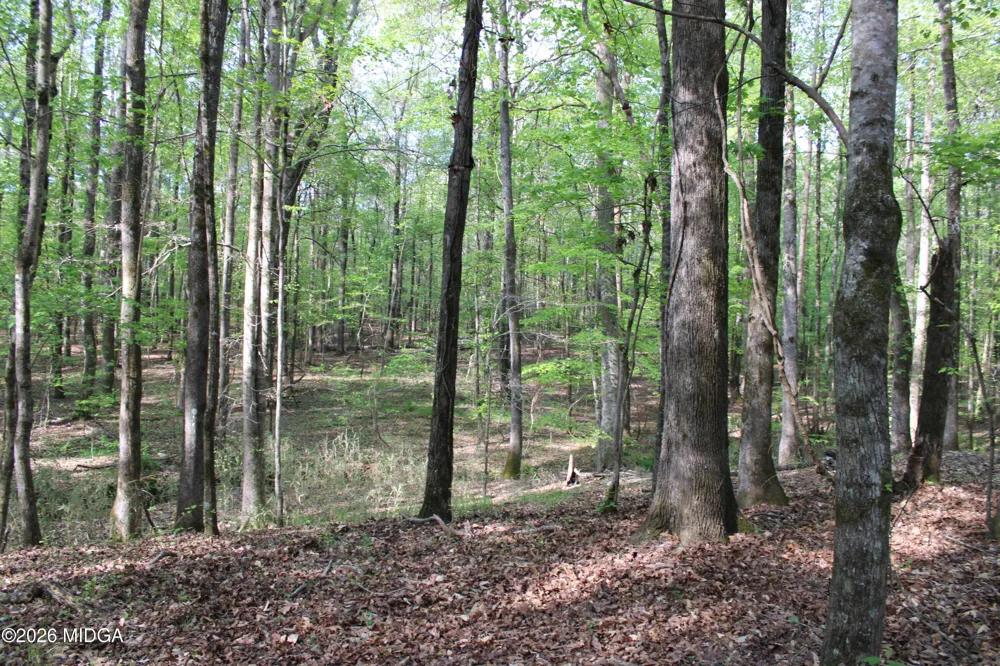 Ruffner Road #00 Barnesville, GA 30204