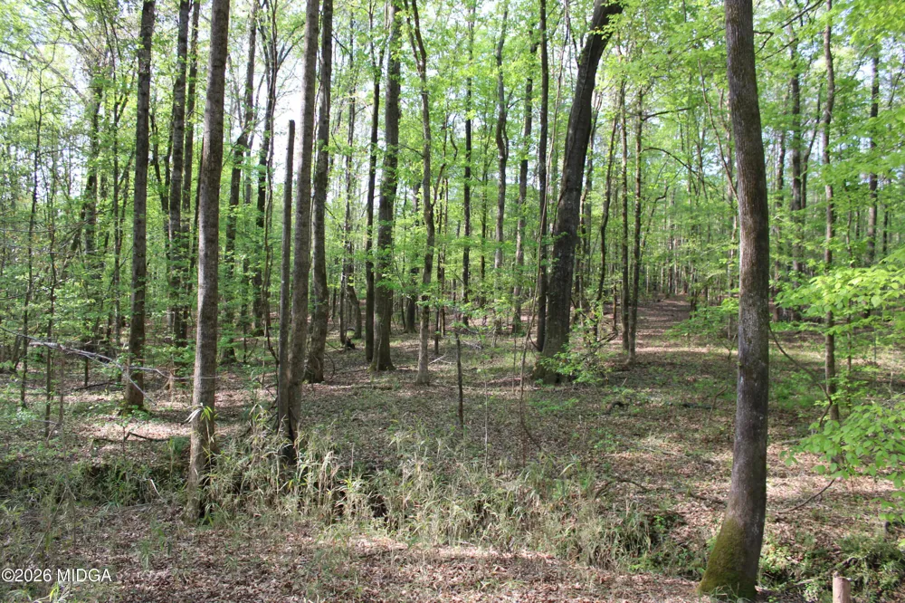 Ruffner Road #00 Barnesville, GA 30204