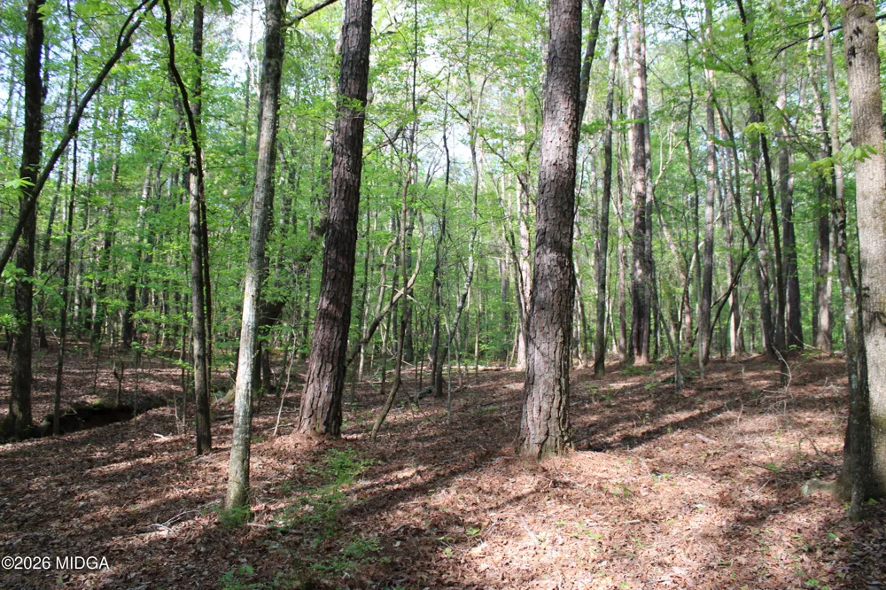 Ruffner Road #00 Barnesville, GA 30204