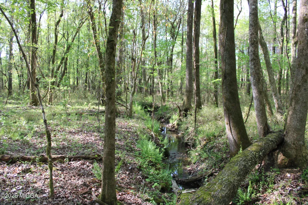 Ruffner Road #00 Barnesville, GA 30204