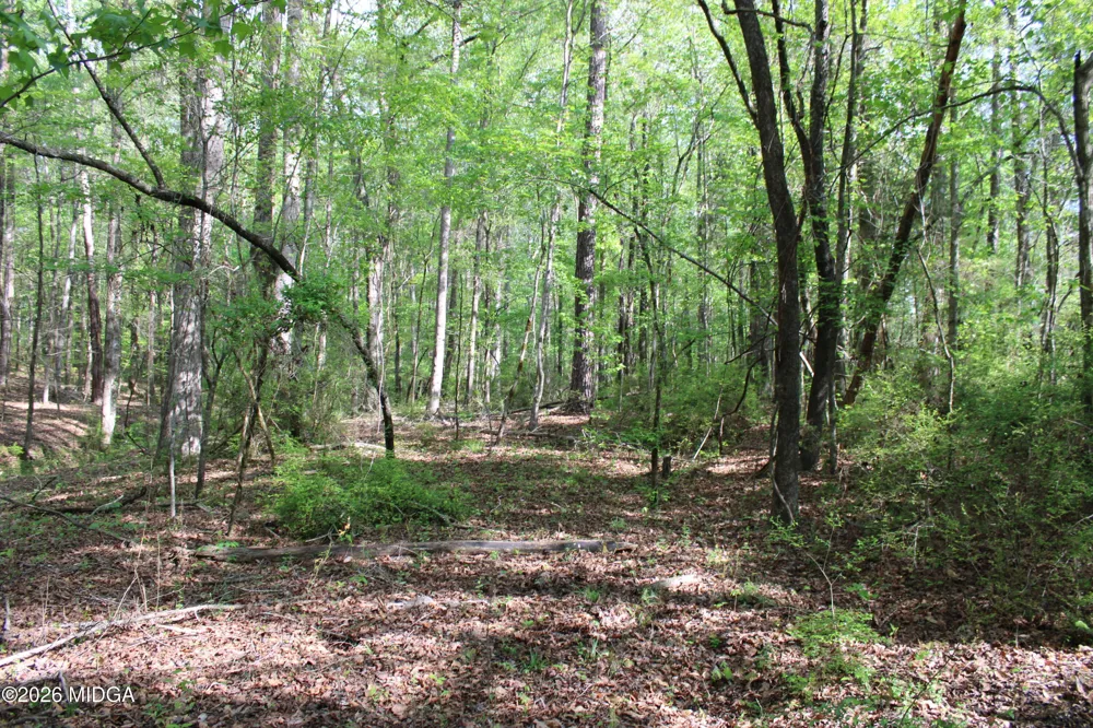 Ruffner Road #00 Barnesville, GA 30204