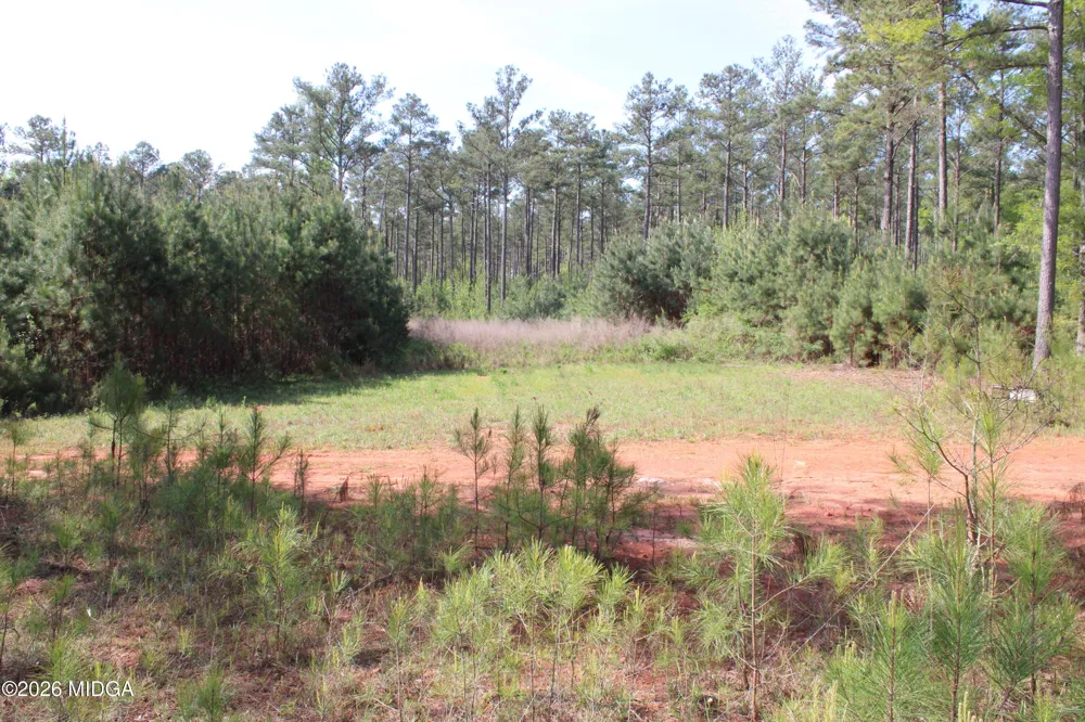 Ruffner Road #00 Barnesville, GA 30204
