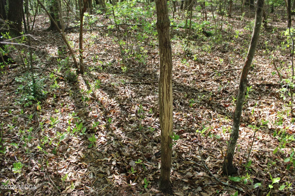 Ruffner Road #00 Barnesville, GA 30204