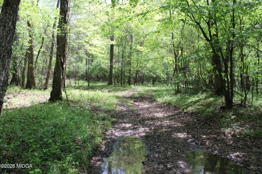 Ruffner Road #00 Barnesville, GA 30204