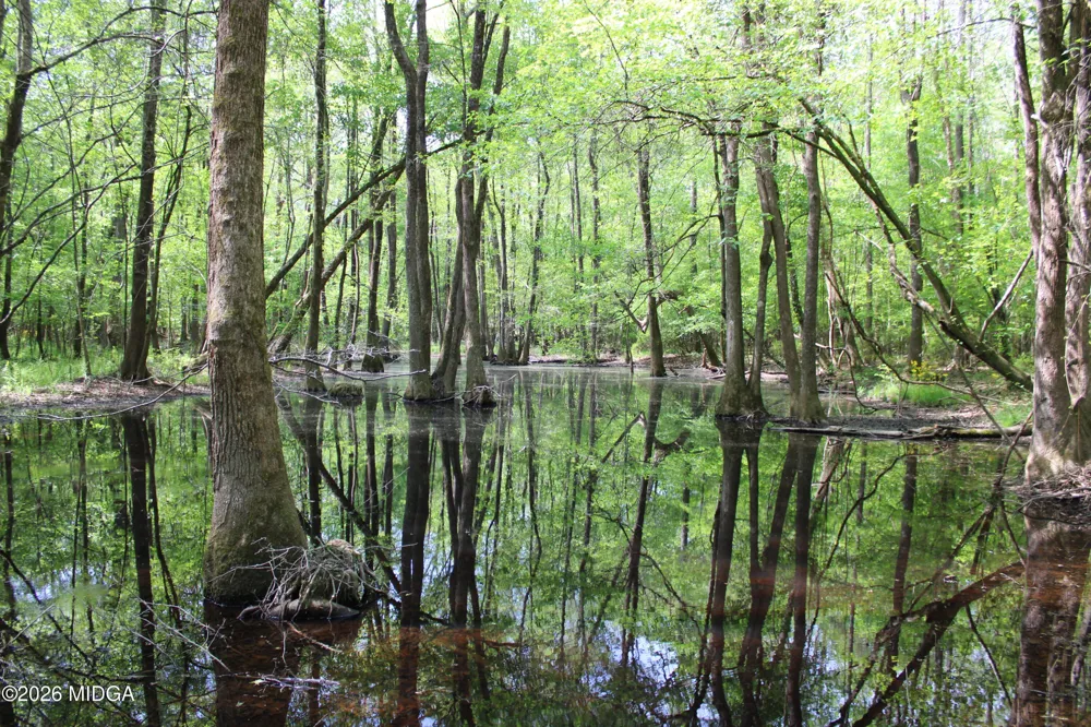 Ruffner Road #00 Barnesville, GA 30204