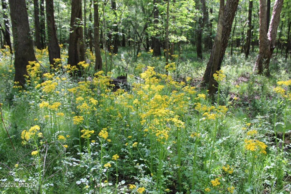 Ruffner Road #00 Barnesville, GA 30204