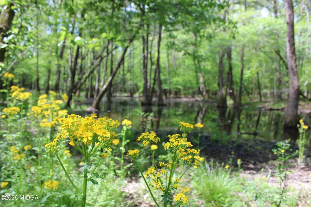 Ruffner Road #00 Barnesville, GA 30204