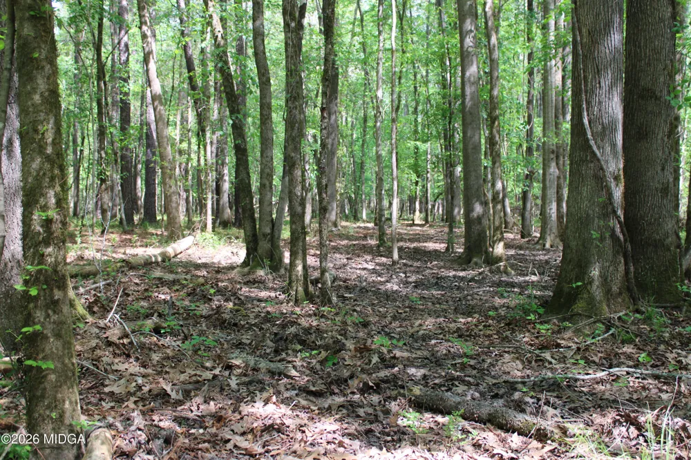 Ruffner Road #00 Barnesville, GA 30204