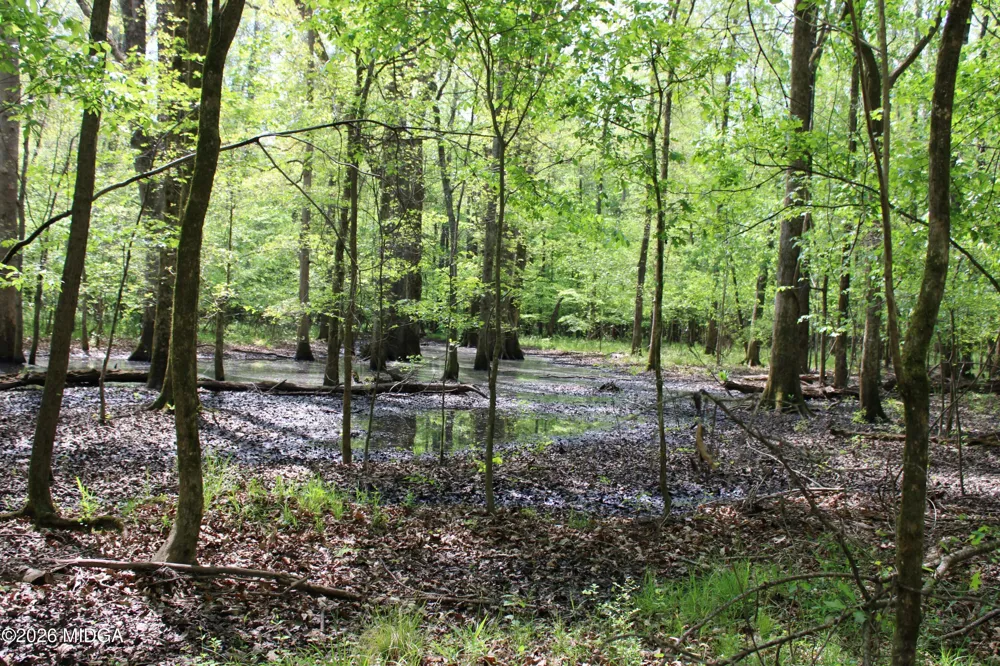 Ruffner Road #00 Barnesville, GA 30204