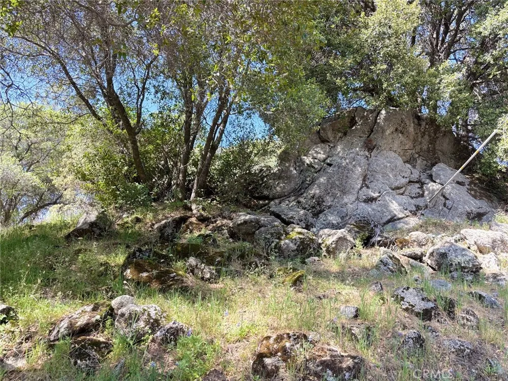 Valley View Mariposa, CA 95338